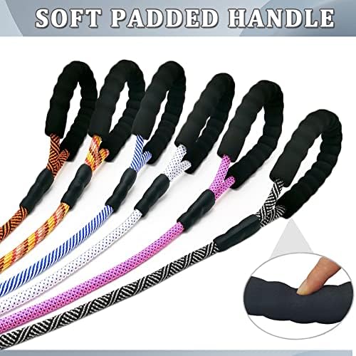 MayPaw Heavy Duty Rope Dog Leash, 3/4/6/7/8/10/12/15/20/30FT Nylon Pet Leash, Soft Padded Handle Thick Lead Leashes for Large Medium Dogs (Black, 1/2" * 8')