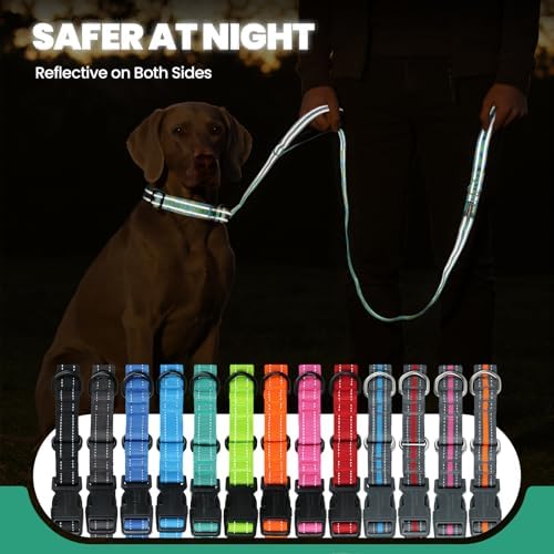 VIVAGLORY Double Handle Dog Leash Twingrip, 5ft x 1in, M2, Turquoise
