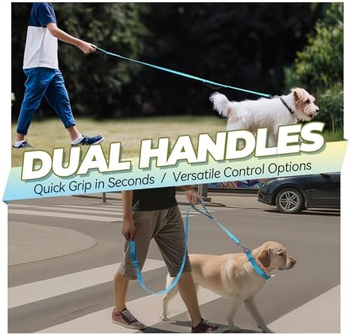 VIVAGLORY Double Handle Dog Leash Twingrip, 5ft x 1/2in, Blue