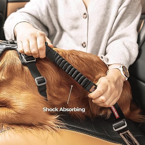 EzyDog Zero Shock Click - Bungee Dog Seat Belt Car Restraint - 20in - 26in