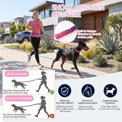 Hands Free Dog Leash and Collar Set Reflective Nylon Pet Lead Handles by Padded Traffic Handle for Small Medium and Large Dogs
