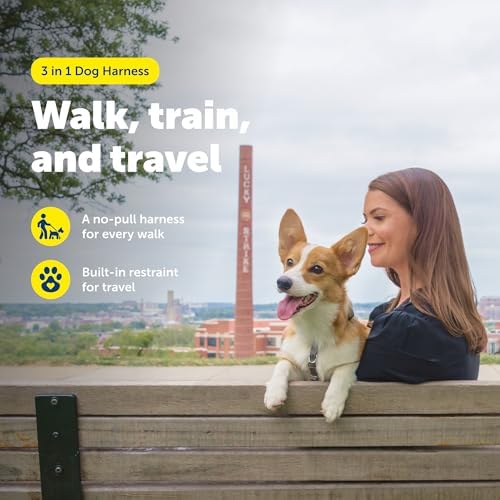 PetSafe 3 in 1 No-Pull Dog Harness - Walk, Train or Travel - Helps Prevent Pets from Pulling on Walks - Seatbelt Loop Doubles as Quick Access Handle - Reflective Accents - Small, Teal