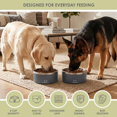 NANDOG Dog Food Water Bowl, 304 Food Grade Stainless Steel 4 Cup(Pack of 2)