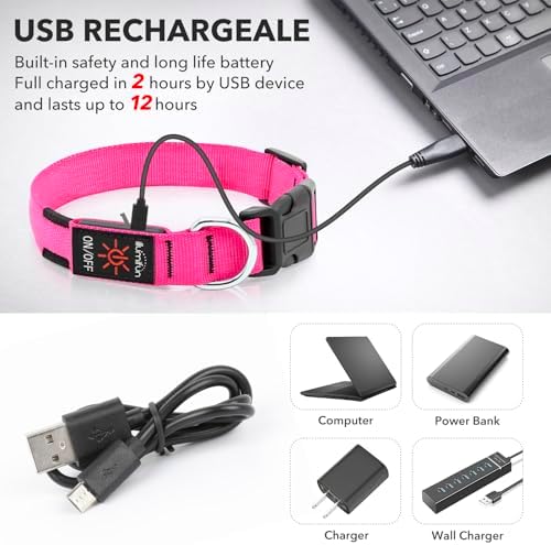Illumifun Rechargeable LED Dog Collar, Waterproof Light Up Dog Collars Glow in the Dark, Adjustable Safety Collar Light for Dogs Walking Camping (Pink, Medium)
