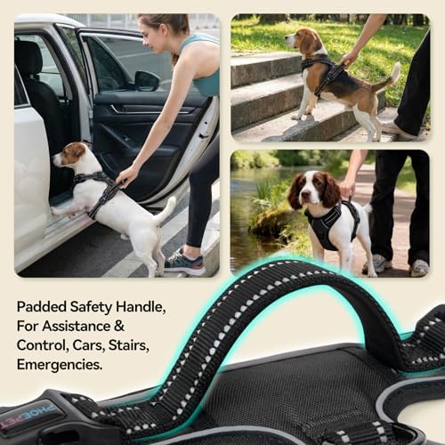 PHOEPET No Pull Dog Harness Medium Reflective Front Clip Puppy Vest