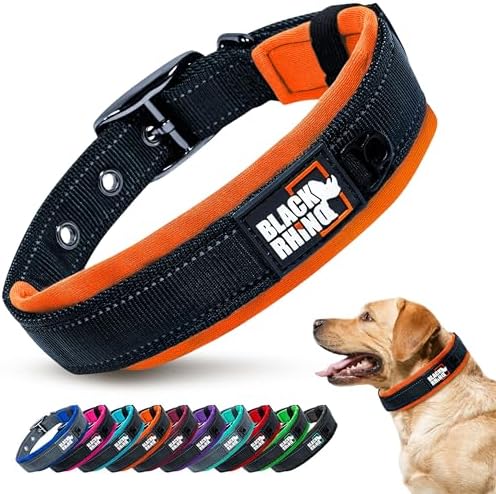 Black Rhino Dog Collars for Medium Dogs - Adjustable Reflective Heavy Duty Dog Collar with Ultra-Soft Neoprene Padding - Weatherproof, Durable, and Comfortable for Active Dogs - Orange and Black