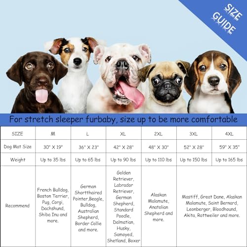 Bubble bear Dog Crate Mat - Ultra Soft, Washable & Anti-Slip Kennel Pad for Small/Medium/Large Dogs, Dark-Hued to Hide Stains (59"x35")