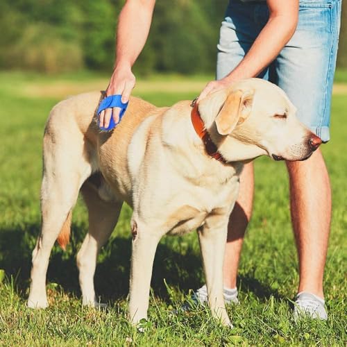 Dog Bath Brush, 2Pack Pet Grooming Brush Shedding Comb Shampoo Brush