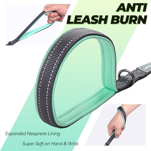 VIVAGLORY Double Handle Dog Leash Twingrip, 4ft x 1/2in, Grey