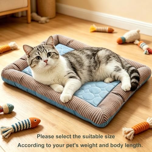 RPGT Cooling Mat for Cats 13" x 18" Pet Cooling Bed for Indoor Cats & Dogs
