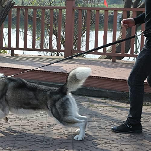 Hands Free Dog Leash, 1 PCS Dog Waist Belt with Leash Elastic Dog Running Belt with Waist Belt for Medium and Large Dog
