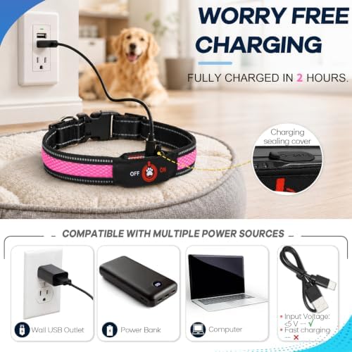 Light Up Dog Collar for Small Dogs, Super Bright Glow Collar, Pink
