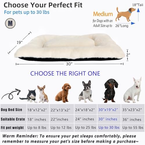Dog Bed 30x19 for Medium Size Crate Very Soft and Comfy Washable, Fluffy Plushy Plush Pillow Bed Kennel Pad, Non-Slip and Machine Washable Pet Sleeping Mattress Mat for Medium Dogs, 30 Inch, Beige