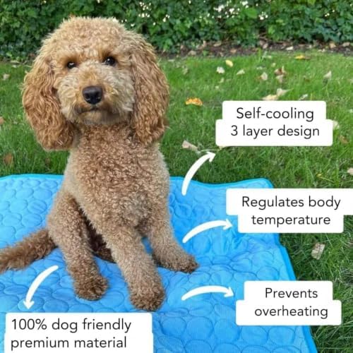 ChillPaws Cooling Mat – Ice Silk Gel Self-Cooling Tech, Stays Below Ambient Temp, Honeycomb Breathable + Anti-Slip Bottom + Washable, for Indoor/Outdoor/Car. (Pink,XL(39.37 X 27.55 in))