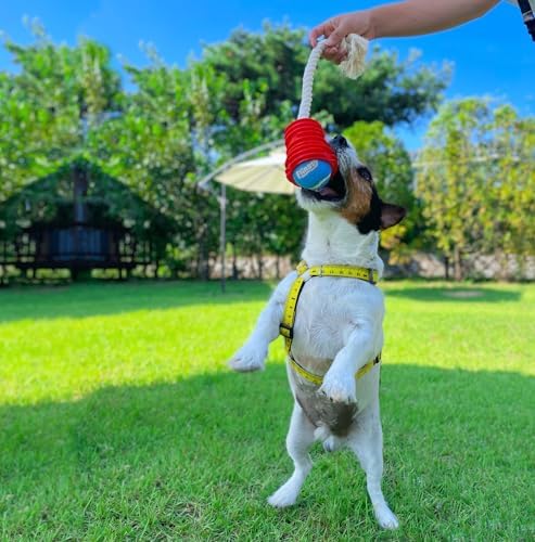 Made in USA Flingsy Dog Ball Launcher and Rope Tug Fetch Thrower Combination Throwing Toy with 100-Percent Natural Cotton Rope