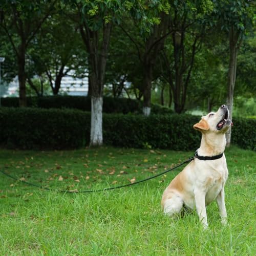 Long Dog Leash, 10ft 30ft 50 feet Heavy Duty Dog Training Leash, Aviation Aluminum Auto Locking Carabiner, Nylon Rope Long Line Check Cord Recall Lead for Yard,Playing,Camping,Navy Blue,10FT