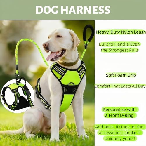 Reflective No Pull Dog Harness with 5ft Leash – Adjustable Padded Vest for Small Medium Large Dogs, Front & Back Clip, Easy Control Handle, Night Safety Walking Set (Black, M)