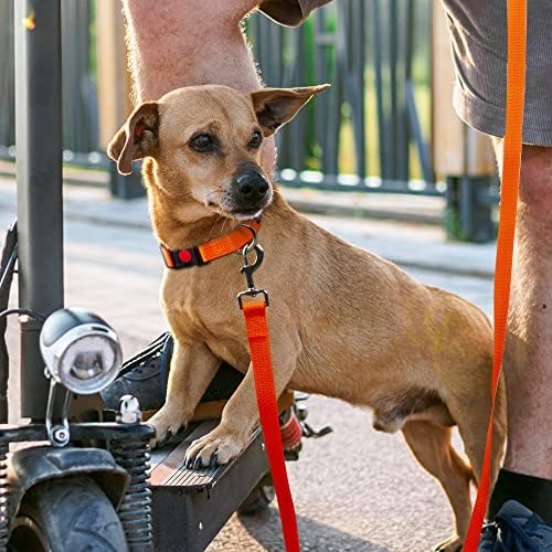 Fida Reflective Nylon Dog Collar with Neon Color for Medium Dogs, Orange