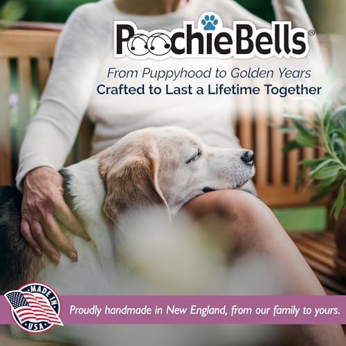 PoochieBells Dog Door Bells for Potty Training, Quick & Easy Puppy Potty Training Method Included, Handcrafted in USA with Loud, Paw-Safe Bells, Celery Green