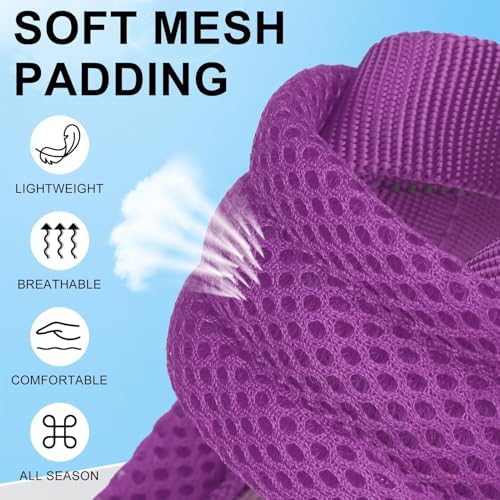BEAUTYZOO Small Dog Harness and Leash Set, No Pull Step in Puppy Vest