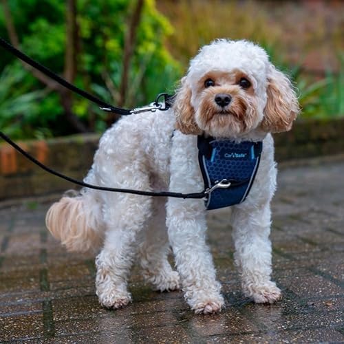 Carsafe Crash Tested Dog Harness Blue X Small