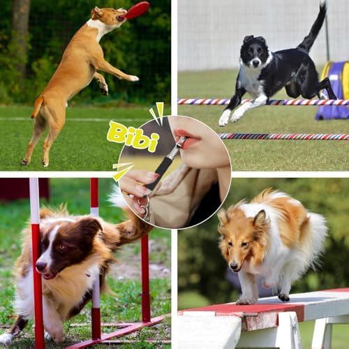 Dog Whistle 2 Pack Adjustable Ultrasonic Silent for Barking & Recall Training