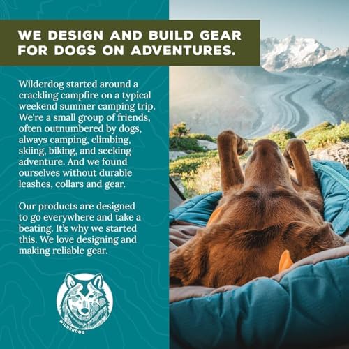 Wilderdog Climbing Rope Quick Clip Dog Leash - 5 ft - Apres