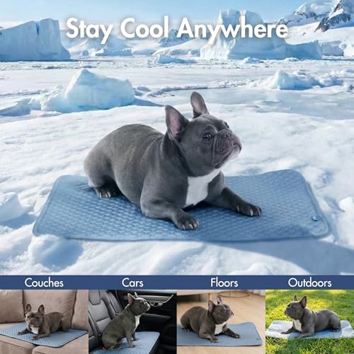 Spark Paws FrostCore Dog Cooling Mat - Non Gel Self Cooling Pet Pad