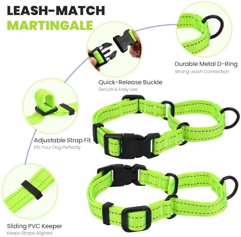 VIVAGLORY Double Handle Dog Leash Twingrip, 5ft x 1in, S, Neon Yellow