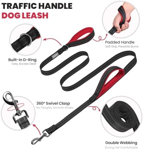VIVAGLORY Double Handle Dog Leash Twingrip, 5ft x 1in, L, Black