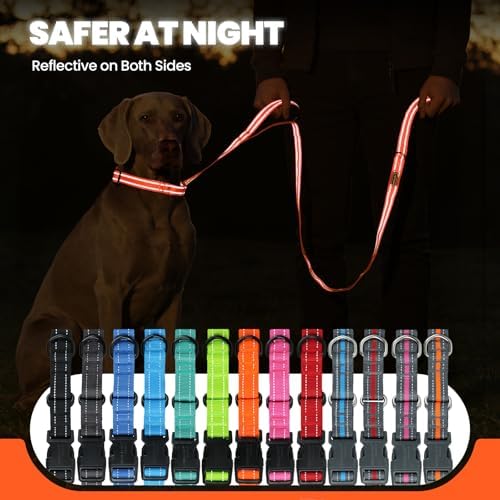 VIVAGLORY Double Handle Dog Leash Twingrip, 5ft x 1in, M2, Orange