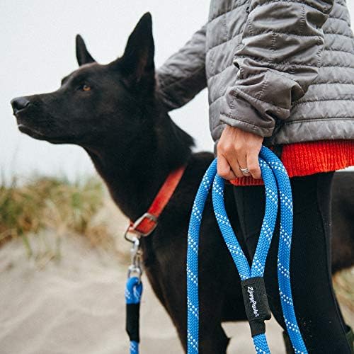 ZippyPaws Climbers Rope Heavy Duty Dog Leash, 6 Feet Long - Purple