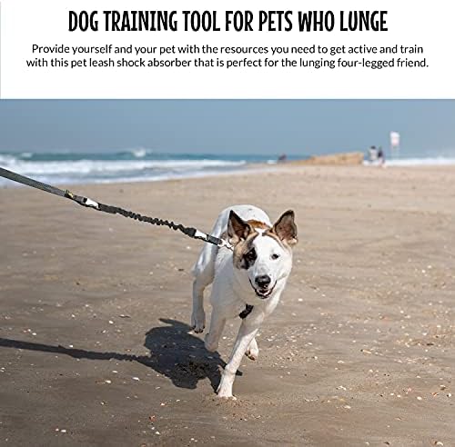 The Buddy System - Lunge Buster Shock Absorber, Regular Dog, Black