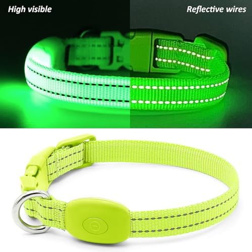 Illumifun LED Dog Collar, USB Rechargeable Light Up Dog Collar, Waterproof Nylon Glowing Safety Collar for Small Dogs Cats (Green, X-Small)