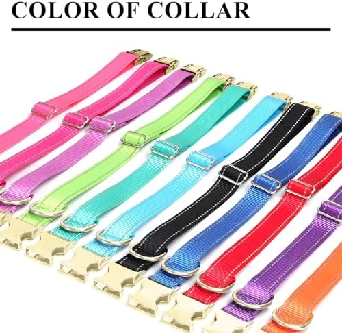Personalized Reflective Nylon Dog Collar with Golden Buckle, Teal