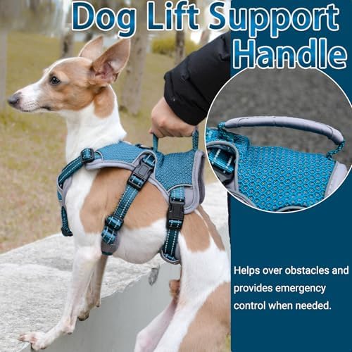 Multi-Use Support Dog Harness, Escape Proof No Pull Reflective Adjustable Vest with Durable Handle, Dog Walking Harness for Big/Active Dogs (Blue, XL)