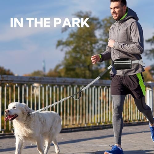 Hands Free Dog Leash with Pouch, Retractable Bungee with Double Padded Handles, Dog Leashes with Bungee for Medium & Large Puppy