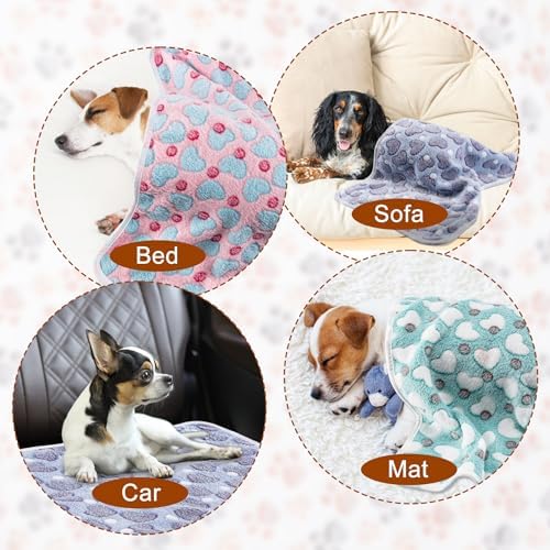1 Pack 3 Blankets for Dog Puppy Cat (Large 41x31'', Purple, Pink, Green)