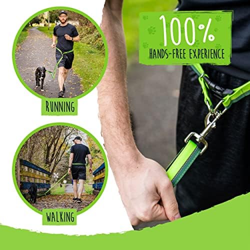 Mighty Paw Hands Free Dog Leash | Bungee Waist Leash for Dog Walking. Pet Running Hands Free Tether for Large, Medium & Small Breeds. Pet Waist Belt (36" - 48") Up to 150 lbs - Green
