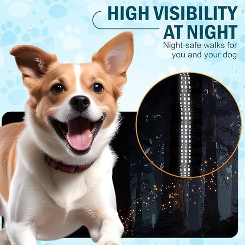 Hands Free Dog Leash with Waist Belt – No-Pull Bungee, Dual Padded Handles & Zipper Pouch for Running, Walking & Training – Adjustable Waist Leash for Large & Medium Dogs
