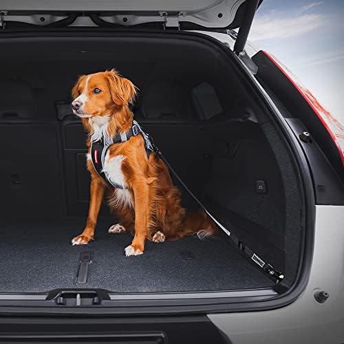EzyDog Click ISOFIX Cargo - Dog Seat Belt Car Restraint - 24in - 40in