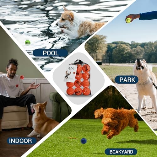AMA SPORT Small Tennis Balls for Dogs 12 Pack 2.0" Multi Colors Dog Tennis Balls for Puppy Small Dog Toys, Designed for Dogs Floating Water-Hunting Fetch Fun Playing Daily Exercise Mid-air Catching