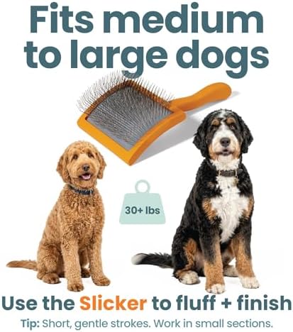Slicker Brush for Dogs, Goldendoodle Brush for Fluff – Routine Essential for Poodles, Bernedoodles & Long Haired Breeds, Gentle Dematting & Easy-Clean Bristles – Skip the Groomer