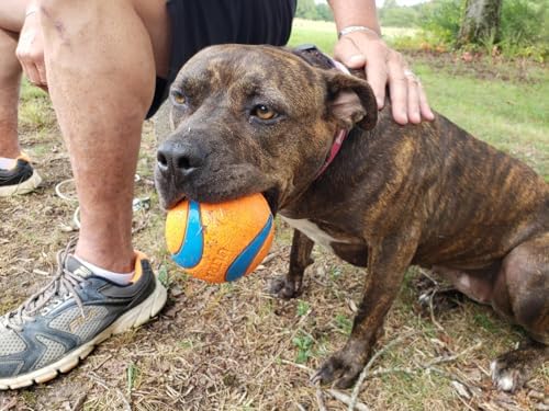 Rocky Mountain Goods Large Ball Dog Toy for Dogs 60 to 100 Pounds - Tough Fetch Ball for Aggressive Chewers - Thick Rubber Core - Ultra Bouncy - Floats in Water - High Visibility