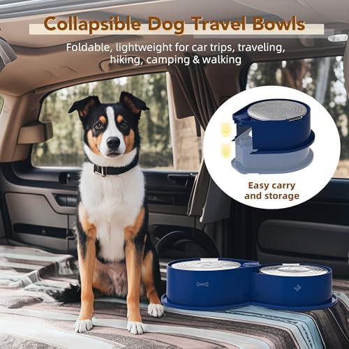 Newget 304 Stainless Steel Dog Bowl Set with Lids, 24oz Foldable Pet Dishes