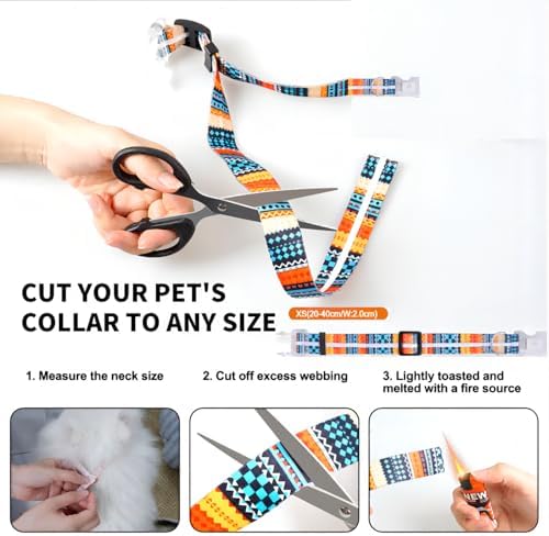 Light Up Dog Collars,LED Dog Collar Rechargeable Waterproof,2-in-1 Buckle Type Glow Collar for Medium Large Dogs- M(10-17 * 0.98 inch can be Crop)