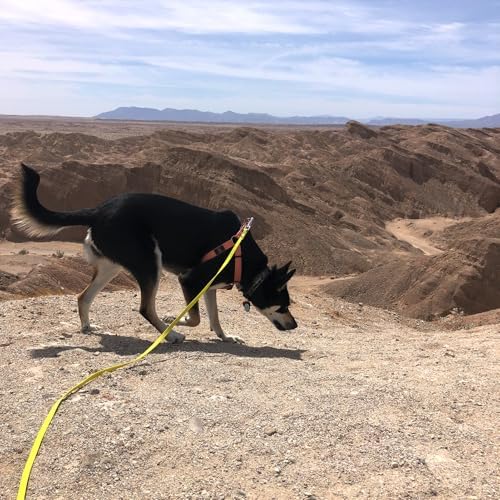 ZALER Long Dog Leash Waterproof Training Leashes 50ft 30ft 20ft 15ft 10ft 6ft, Odor Proof Recall Long Line Lead with Aviation Aluminum Carabiner Clip for Small, Medium, Large Dogs (15FT, Black)