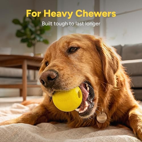 GoSports Pets Solid Rubber Dog Balls - Heavy Duty for Aggressive Chewers - 3 Pack, 2.5 Inch