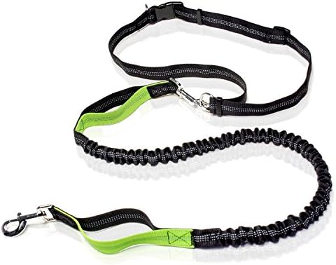 Hands Free Dog Leash, Premium Running Dog Leash with Reractable Shock Absorbing Bungee, Refective Stitching and Adjustable Waist Belt