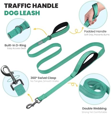 VIVAGLORY Double Handle Dog Leash Twingrip, 5ft x 1in, S, Turquoise